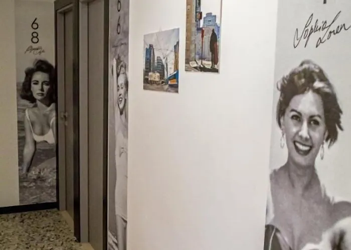 Hotel Hollywood Nuova Gestione 2026 Hotel